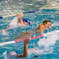 swimmers swim along tracks in sports pool for swimming