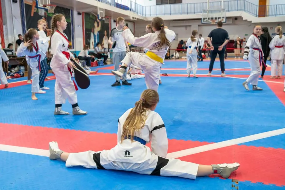 the Championship of Chelyabinsk region in Taekwondo WTF amon